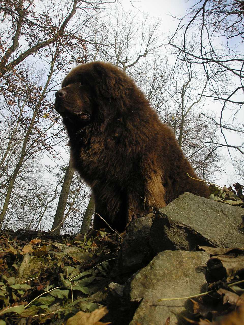 PA310079.JPG