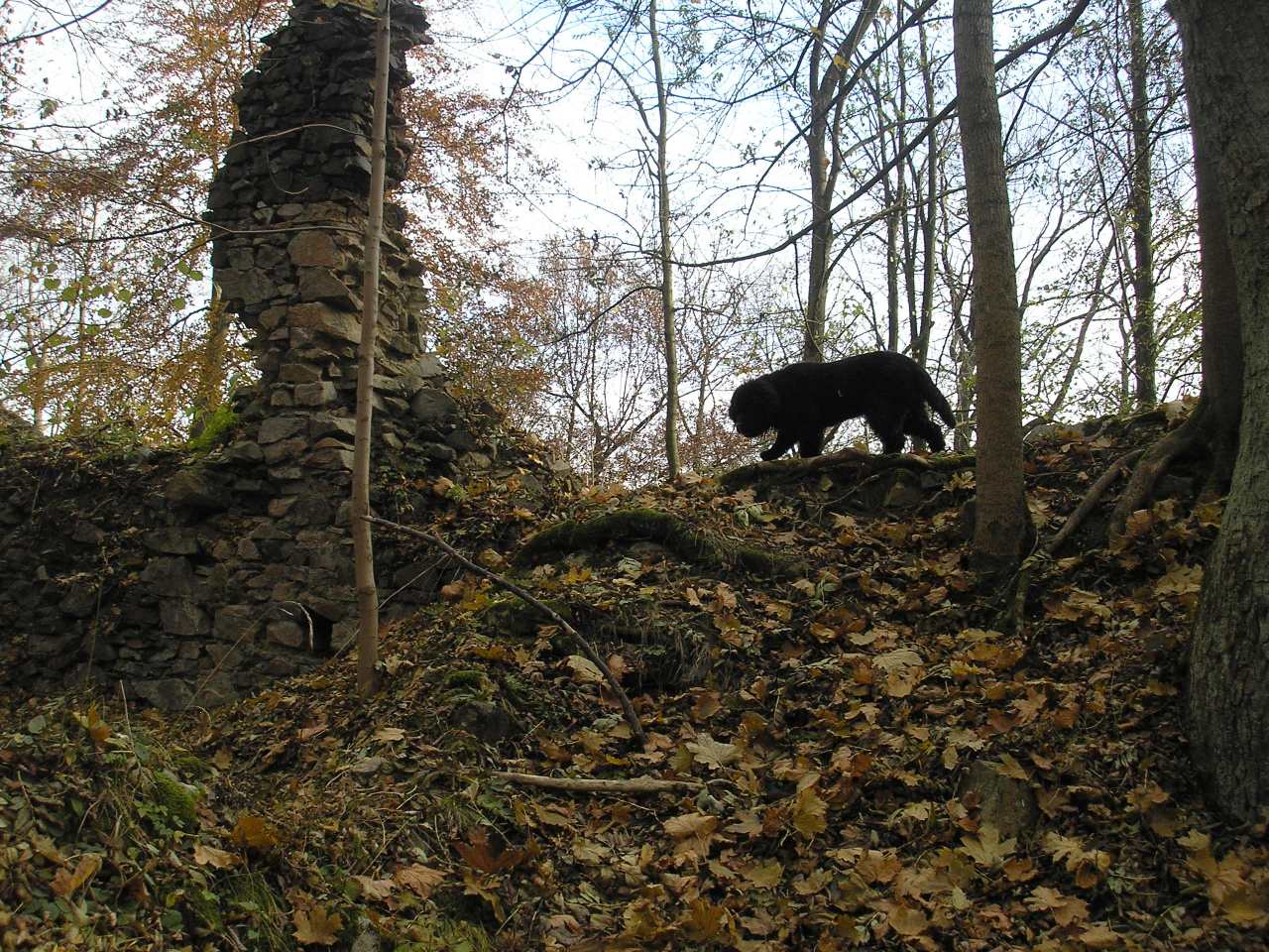 PA310140.JPG